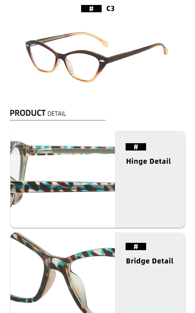 Eyeglasses Frame Detail 4