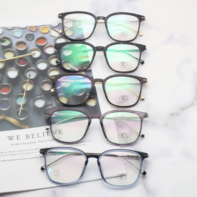 Eyewear Frame Style 5