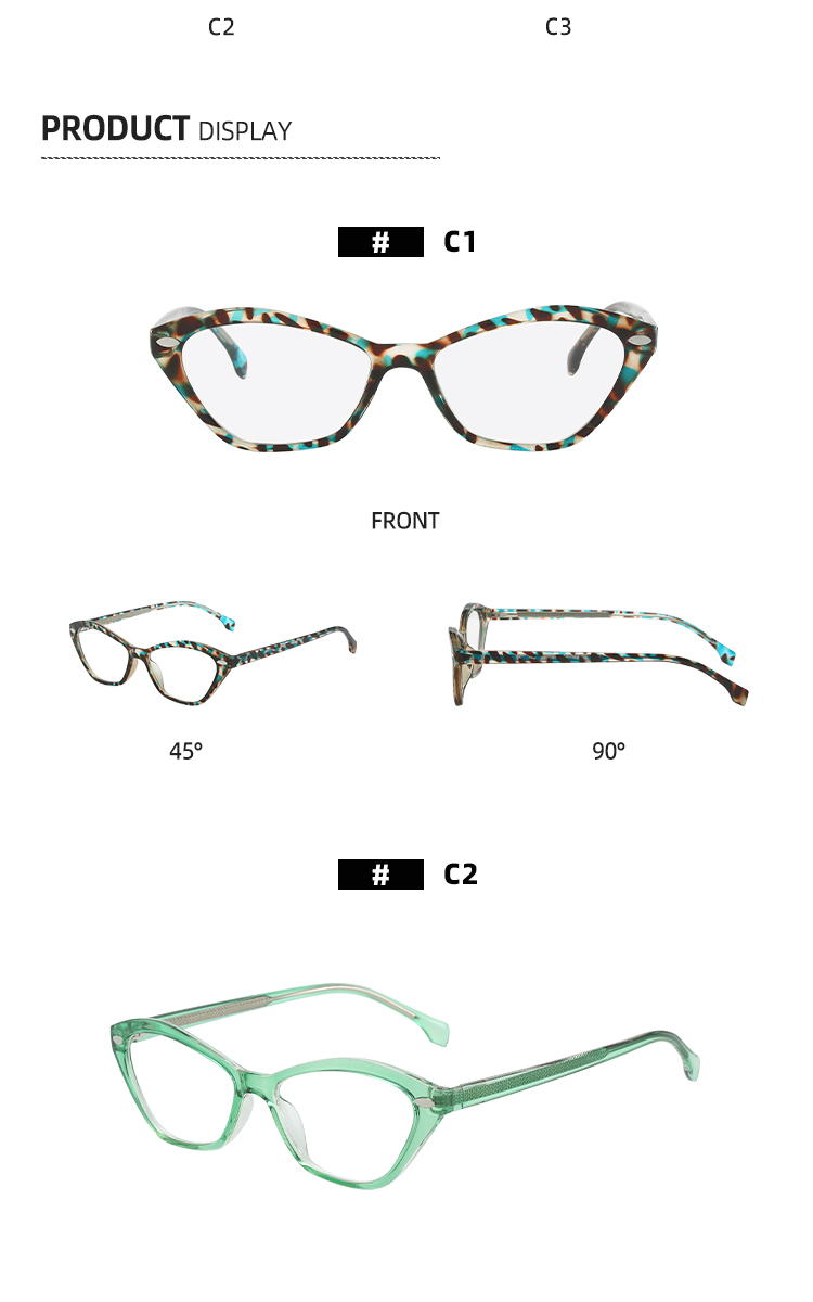 Eyeglasses Frame Detail 3