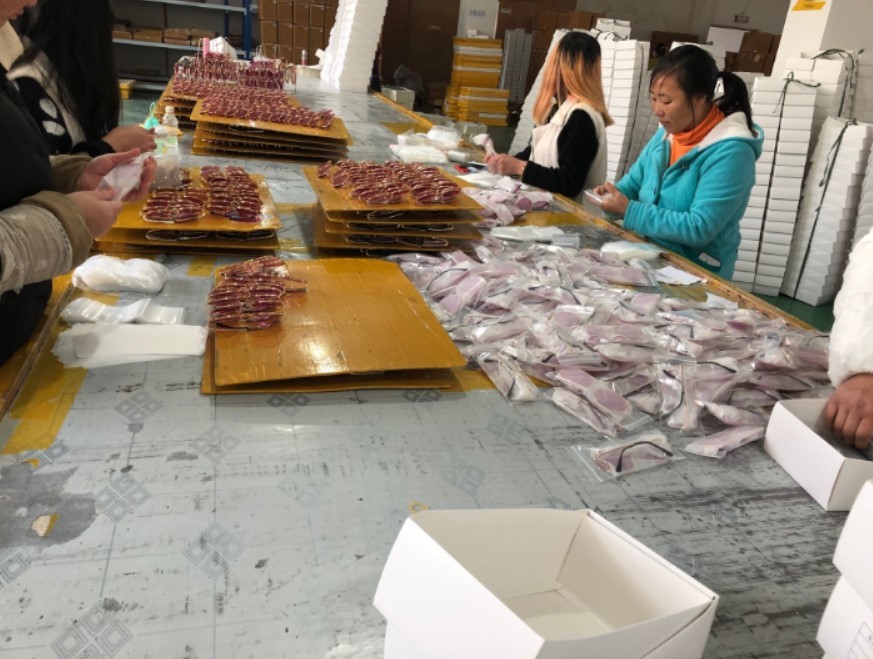 Factory Facility