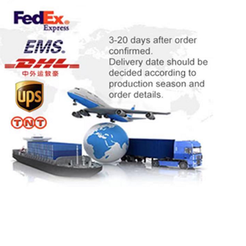 Delivery Process