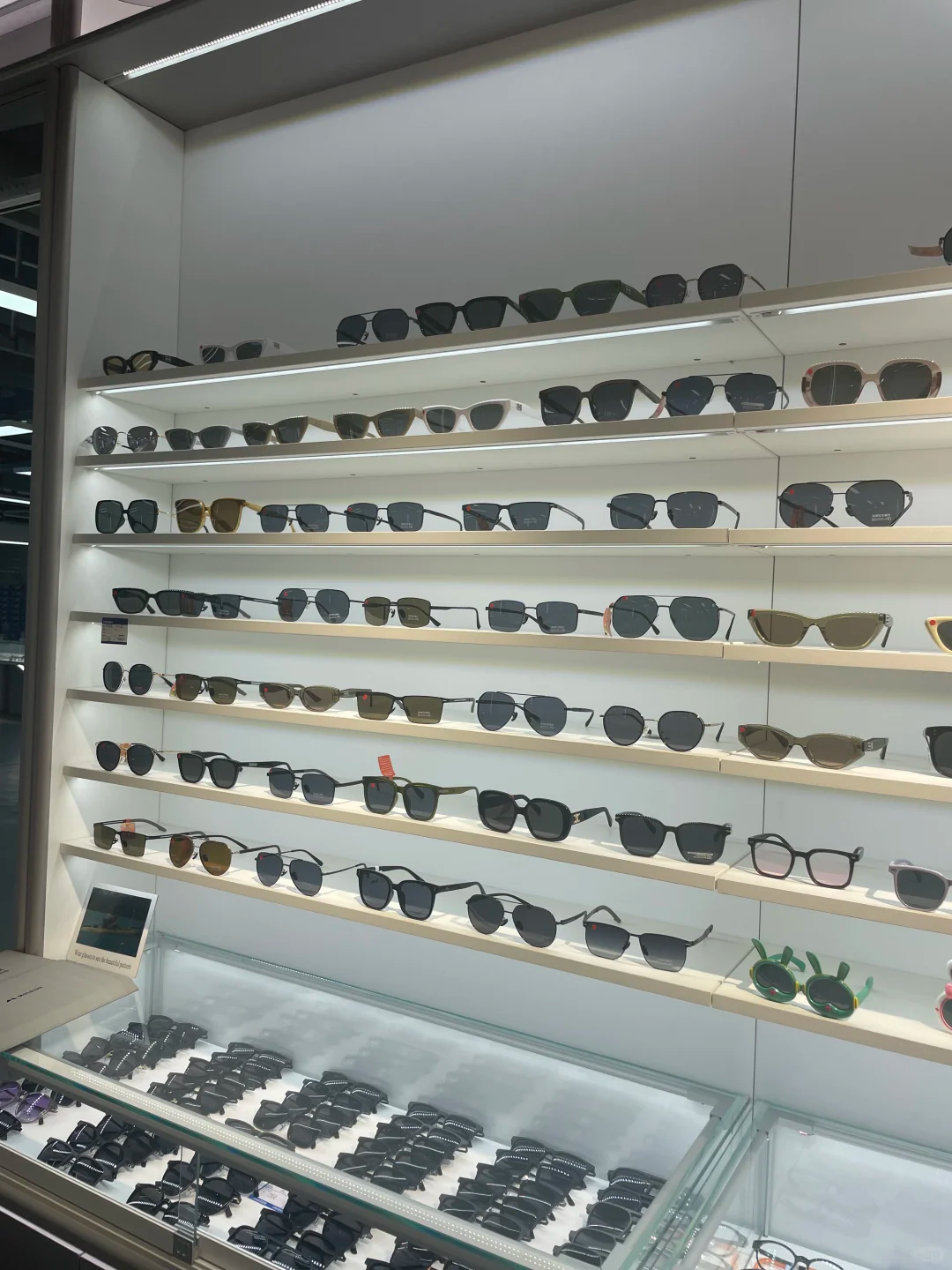 Cat Eye Optical Eyeglasses Frames Acetate Metal Temple Prescription Ready Custom Logo OEM Wholesale 52 16 142