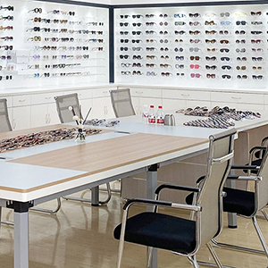 Eyewear Variety