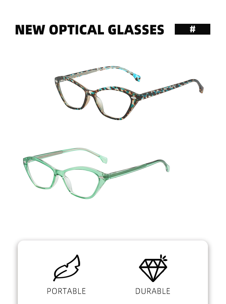 Eyeglasses Frame Detail 1